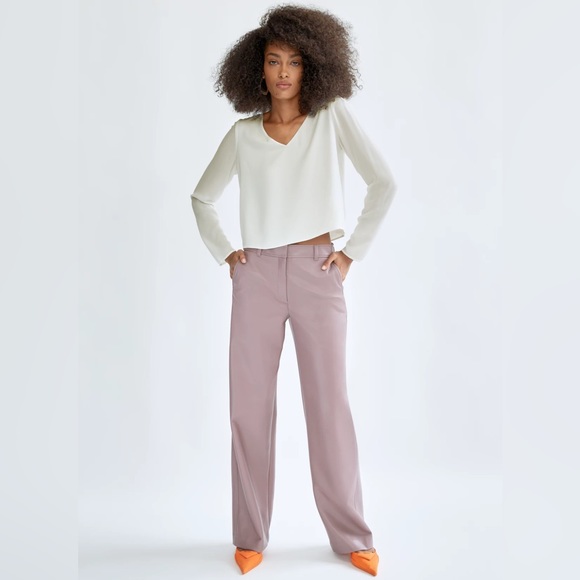 Aritzia Babaton Murphy Ling Sleeve V-neck Blouse - Picture 5 of 11